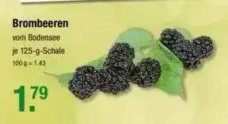 V Markt Brombeeren Angebot