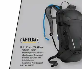 Zweirad Stadler Camelbak M.u.l.e Inkl. Trinkblase Angebot