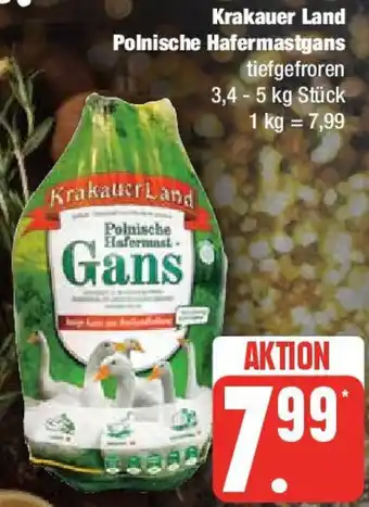 Marktkauf Krakauer Land Polnische Hafermastgans 3,4 - 5 kg Stück Angebot