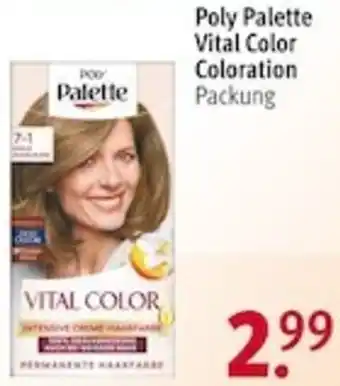 Rossmann Poly Palette Vital Color Coloration Angebot