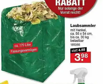 RL-Fundgrube Laubsammler Angebot