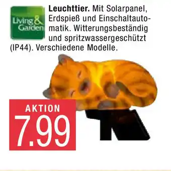 Marktkauf Leuchttier Angebot