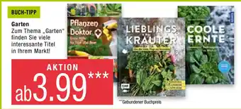 Marktkauf Garten Angebot