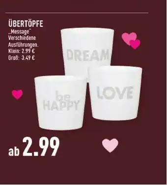 Marktkauf Übertöpfe Angebot