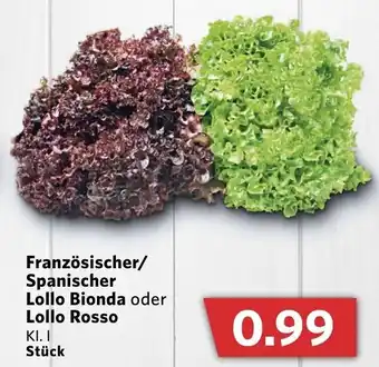 Combi Französischer/Spanischer Lollo Bionda oder Lollo Rosso Angebot