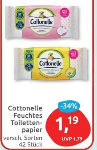 Budni Cottonelle Feuchtes Toilettenpapier 42 Stück Angebot