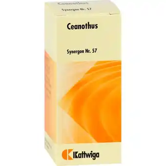 Douglas Kattwiga arzneimittel synergon komplex 57 ceanothus tropfen Angebot