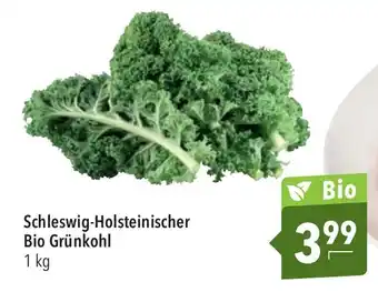 CITTI Markt Schleswig-Holsteinischer Bio Grünkohl 1 kg Angebot