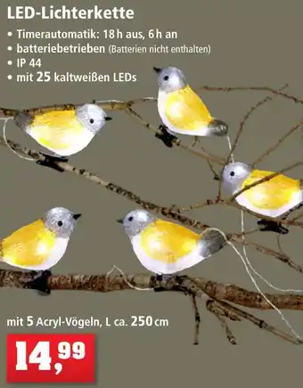 Thomas Philipps LED-Lichterkette Angebot