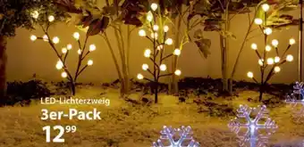 NKD LED-Lichterzweig 3er-Pack Angebot