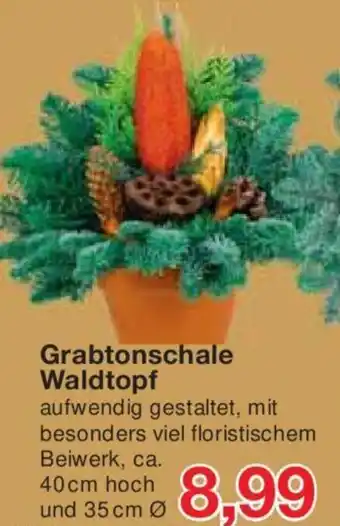 Jawoll Grabtonschale Waldtopf Angebot