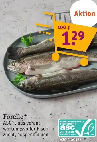 tegut Forelle 100 g Angebot