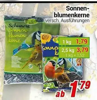 CENTERSHOP Sonnen-blumenkerne Angebot