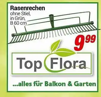 CENTERSHOP Rasenrechen Angebot