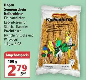 Globus Hagen Sonnenschein Kolbenhirse Angebot