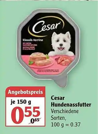 Globus Cesar Hundenassfutter Angebot