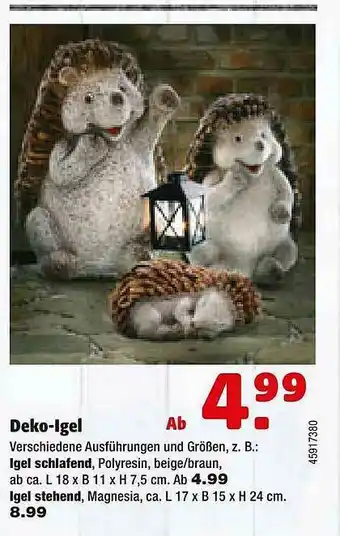 Hagebau Deko-igel Angebot