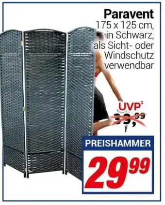 CENTERSHOP Paravent Angebot