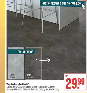 Hellweg Vinylboden „ambiente” Angebot