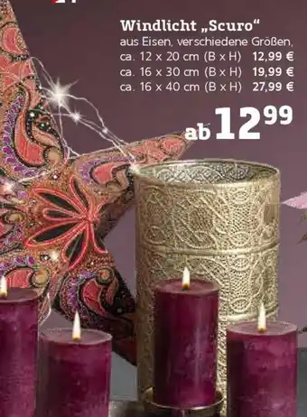 Pflanzen Kölle Windlicht ,,Scuro" Angebot