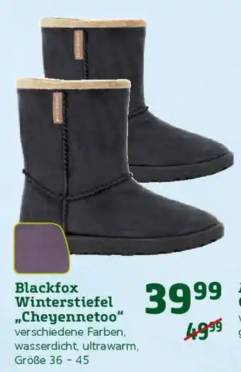 Pflanzen Kölle Blackfox Winterstiefel ,,Cheyennetoo" verschiedene Farben, wasserdicht, ultrawarm, Größe 36 - 45 Angebot