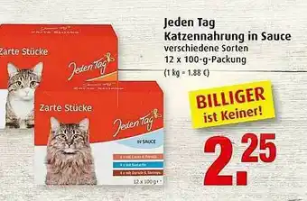 Markant Jeden Tag Katzennahrung In Sauce Angebot