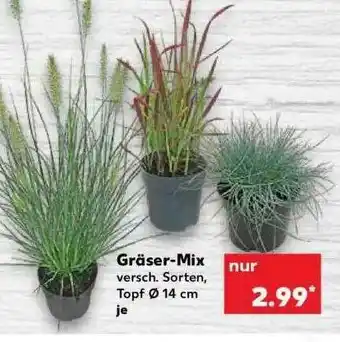 Kaufland Gräser-mix Angebot