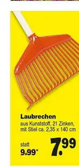 Repo Markt Laubrechen Angebot