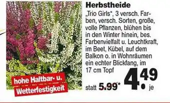 Repo Markt Herbstheide Angebot