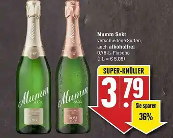 Scheck-in-Center Mumm Sekt Auch Alkoholfrei Angebot