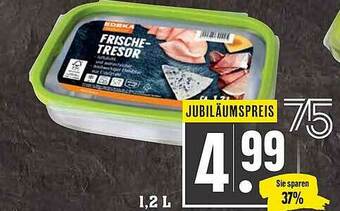 Scheck-in-Center Edeka Frische-tresor Angebot