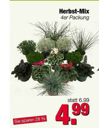 Edeka Scherer Herbst-mix Angebot