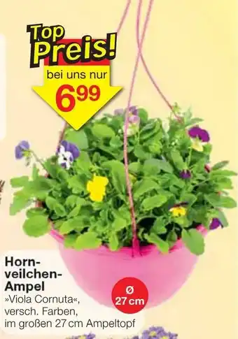 Jawoll Hornveilchen Ampel Angebot