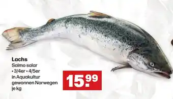 Handelshof Lachs Salmo salar je kg Angebot