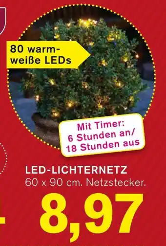 KODi KODI season LED-LICHTERNETZ 60 x 90 cm. Netzstecker. Angebot