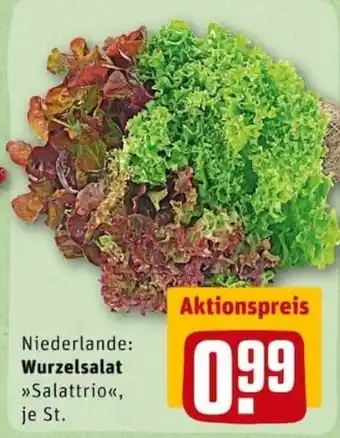 REWE City Wurzelsalat Salattrio Angebot