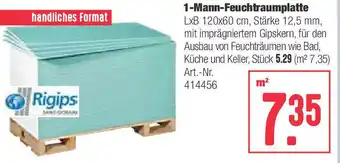 BayWa 1 Mann Feuchtraumplatte Angebot