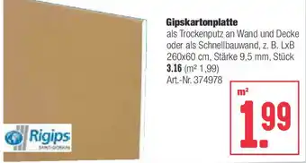 BayWa Gipskartonplatte Angebot