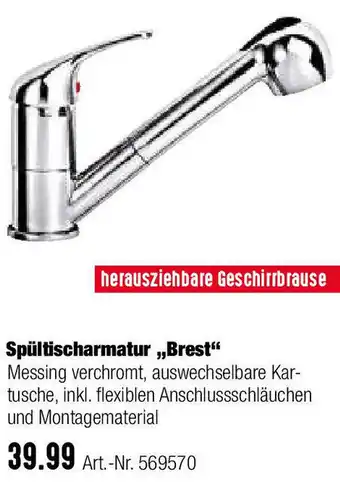 BayWa Spültischarmatur Brest Angebot