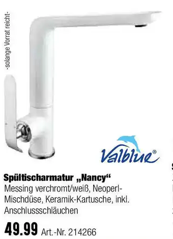 BayWa Valblue Spültischarmatur Nancy Angebot