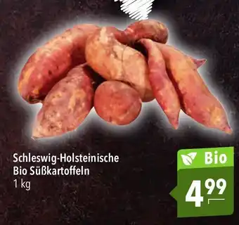 CITTI Markt Schleich-Holsteinische Bio Susskartoffeln 1kg Angebot