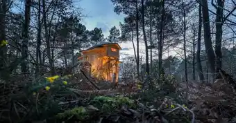 Center Parcs Le bois aux daims freilaufende rehe, baumhäuser und die schönheit der vienne-landschaft Angebot