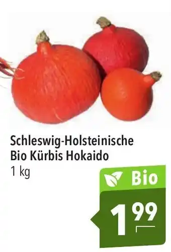 CITTI Markt Schleswig-Holsteinische Bio Kurbis Hokaido 1kg Angebot