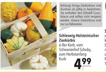 CITTI Markt Schleswig-Holsteinische Zierkurbis Angebot