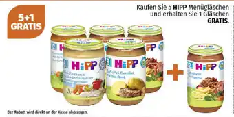 Müller Hipp Angebot