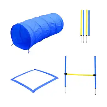 Netto Marken-Discount Pawhut hund agility set inkl. tragetasche gelb, blau hundetraining hundesport übungsset hürdenlauf Angebot