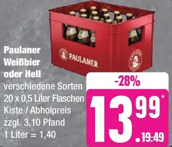 Edeka Paulaner Weißbier oder Hell 20 x 0,5 Liter Flaschen Angebot