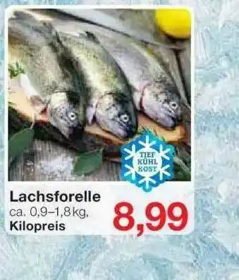 Jawoll Lachsforelle Angebot