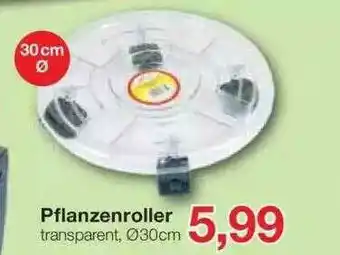 Jawoll Pflanzenroller Angebot