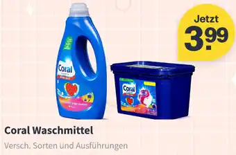 Picnic Coral Waschmittel Angebot